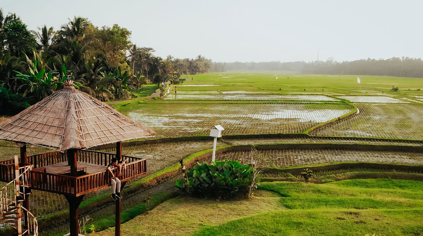 Jasa membuat aplikasi Virtual Reality Tour (anda hanya kirim file foto/video) - Gambar 3